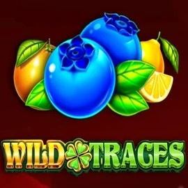 Enjoy Wild Traces by Amusnet Interactive – logo hosted on mostbetkasyno.org.pl